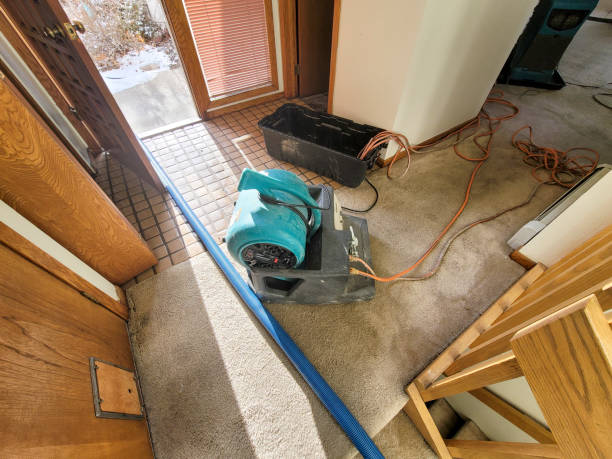 Best 24-hour water damage restoration  in Bellevue, PA