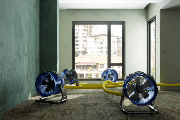 Best Sewage cleanup and water damage restoration  in Bellevue, PA